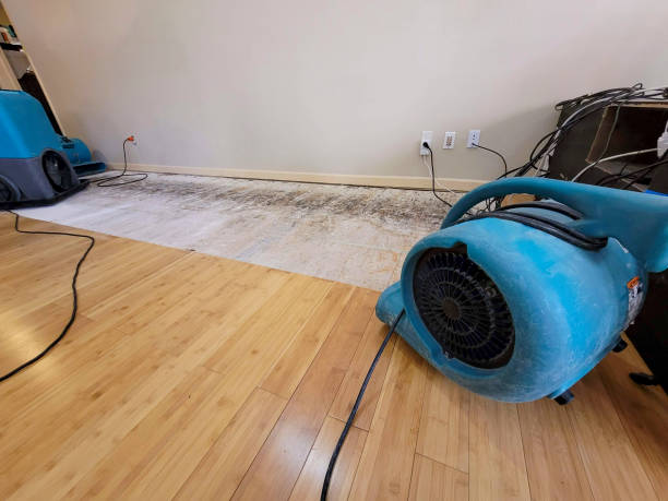 Reliable Basement Flood Cleanup contractor in Purchase, NY by Hirex Water Damage