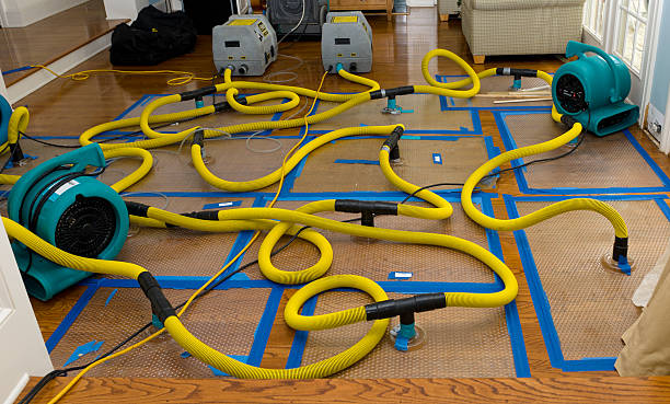 Professional Basement Flood Cleanup technician working in Purchase, NY